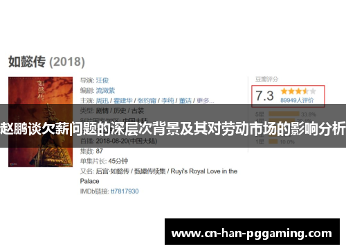 赵鹏谈欠薪问题的深层次背景及其对劳动市场的影响分析 赵鹏谈欠薪问题的深层次背景及其对劳动市场的影响分析