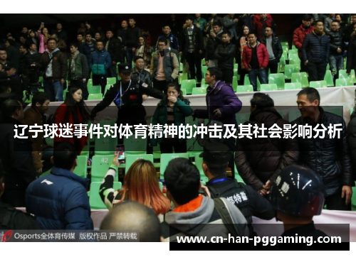 辽宁球迷事件对体育精神的冲击及其社会影响分析