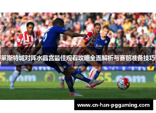 莱斯特城对阵水晶宫最佳观看攻略全面解析与赛前准备技巧