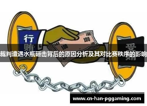 裁判遭遇水瓶砸击背后的原因分析及其对比赛秩序的影响