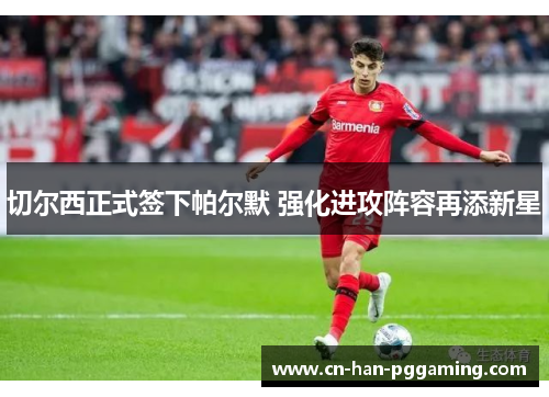 切尔西正式签下帕尔默 强化进攻阵容再添新星