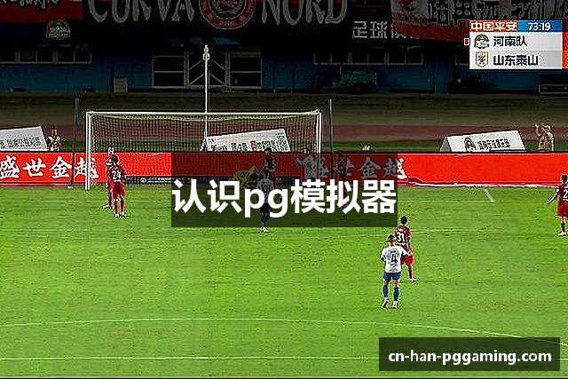 认识pg模拟器